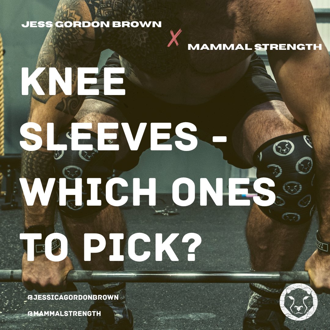 Knee Sleeves -  Which ones to pick? - Mammal Strength 