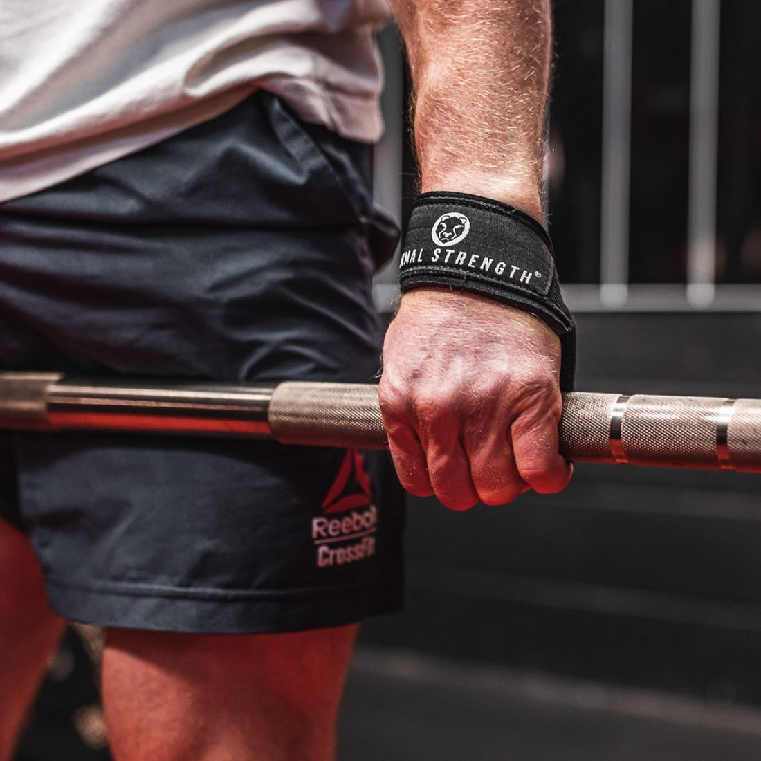 Mammal Strength weightlifting straps in use during a barbell deadlift for heavy pulling and grip support