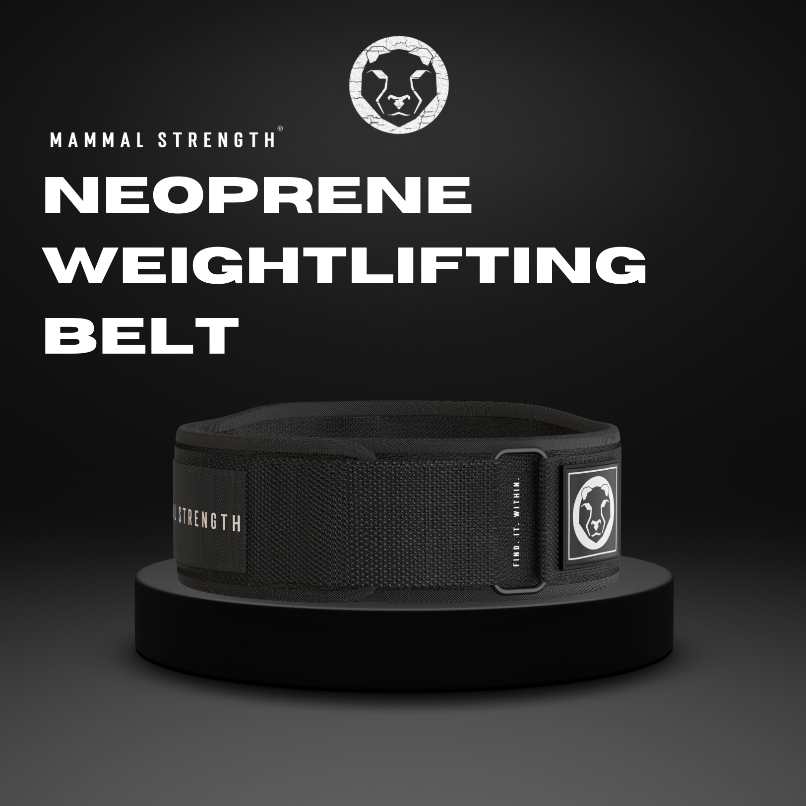 Mammal Strength "5 Neoprene Weightlifting Belt - Mammal Strength