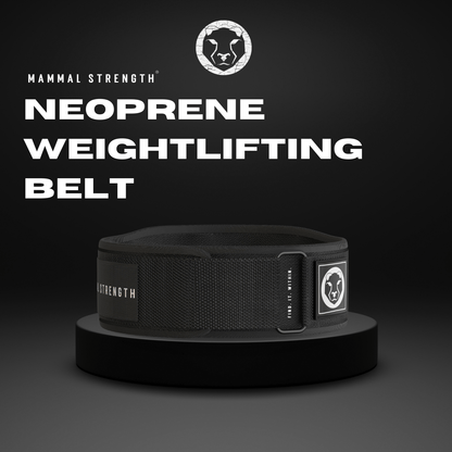 Mammal Strength "5 Neoprene Weightlifting Belt - Mammal Strength