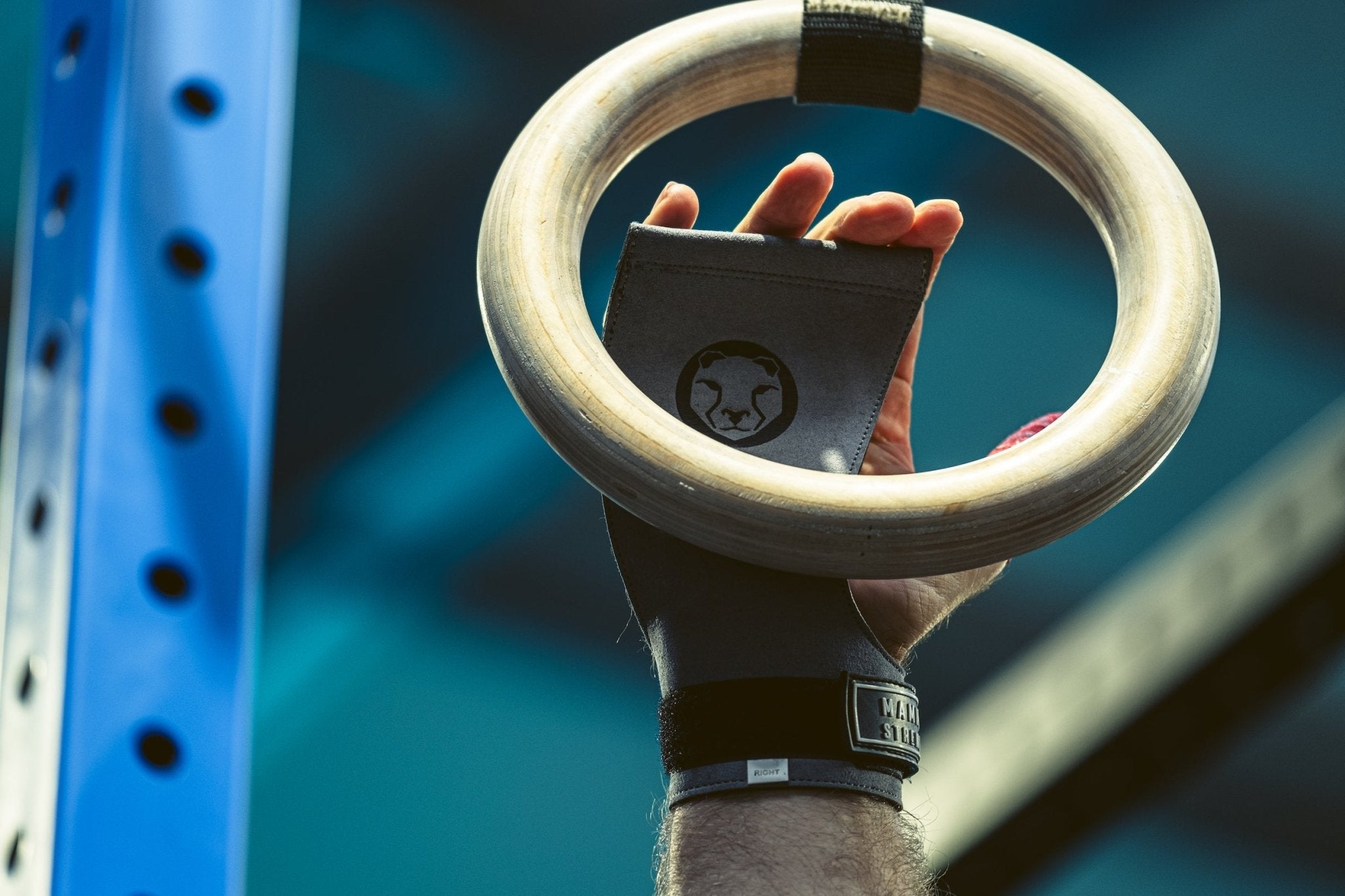 Mammal Strength V2 Gymnastic Hand Grips - Mammal Strength