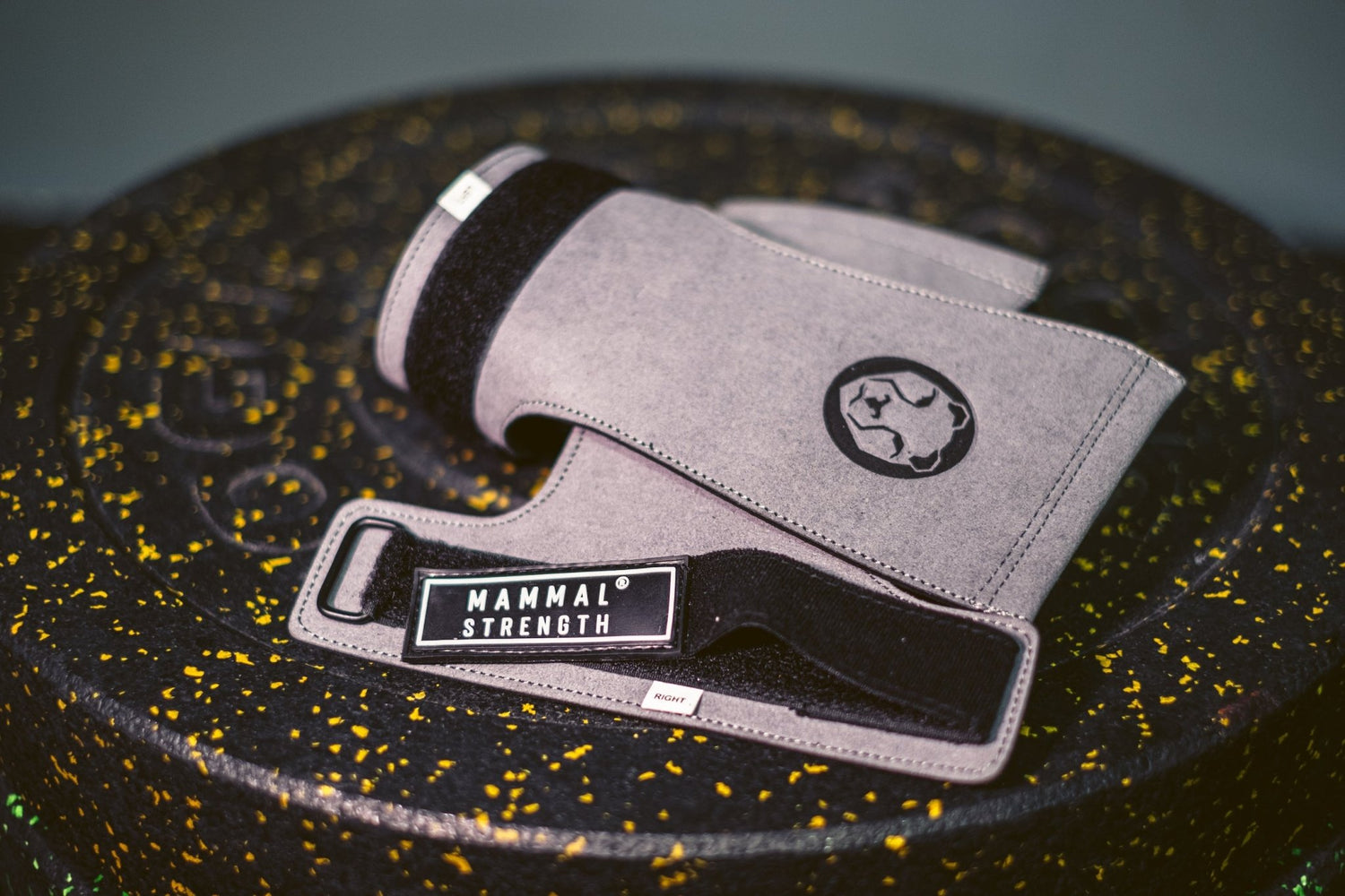 Mammal Strength V2 Gymnastic Hand Grips - Mammal Strength