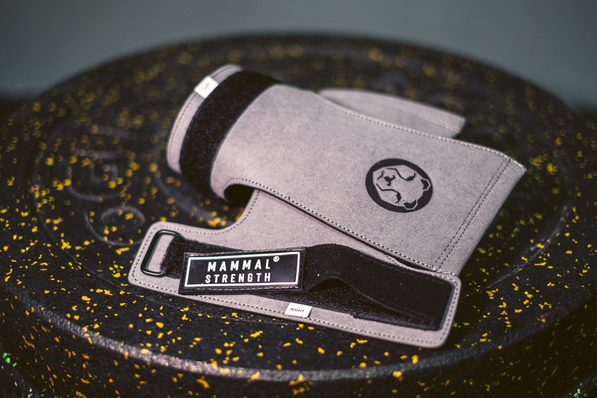 Mammal Strength V2 Gymnastic Hand Grips - Mammal Strength