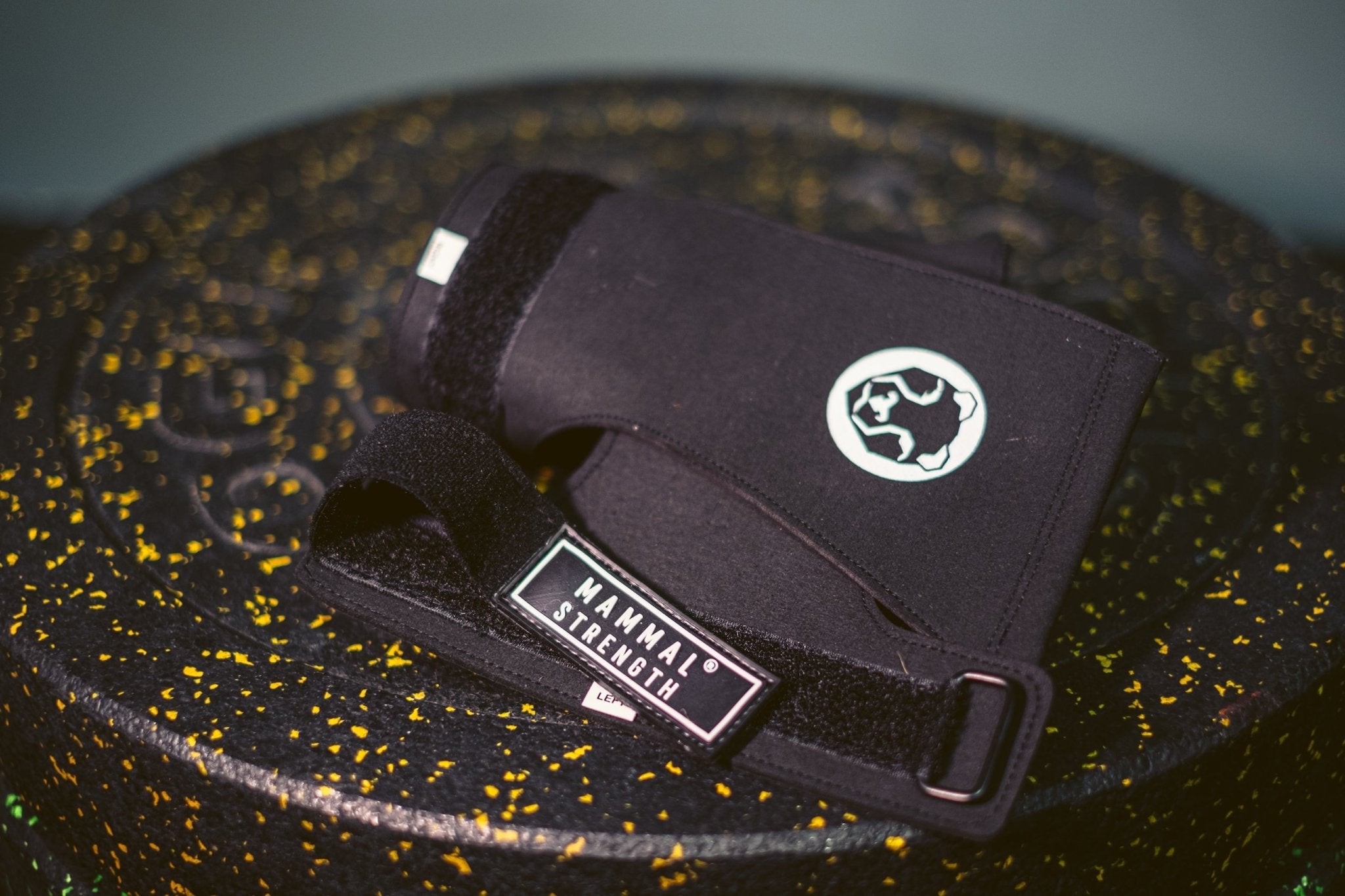 Mammal Strength V2 Gymnastic Hand Grips - Mammal Strength